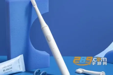 ŷ���ֵ綯��ˢ