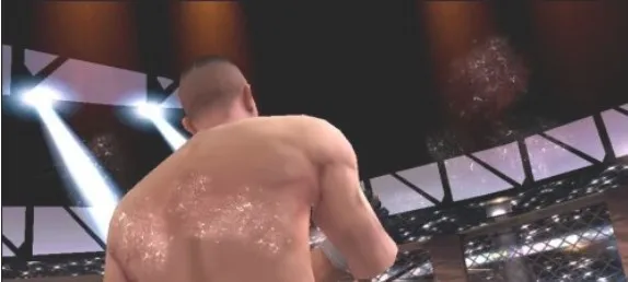 �µ�����ά��˹