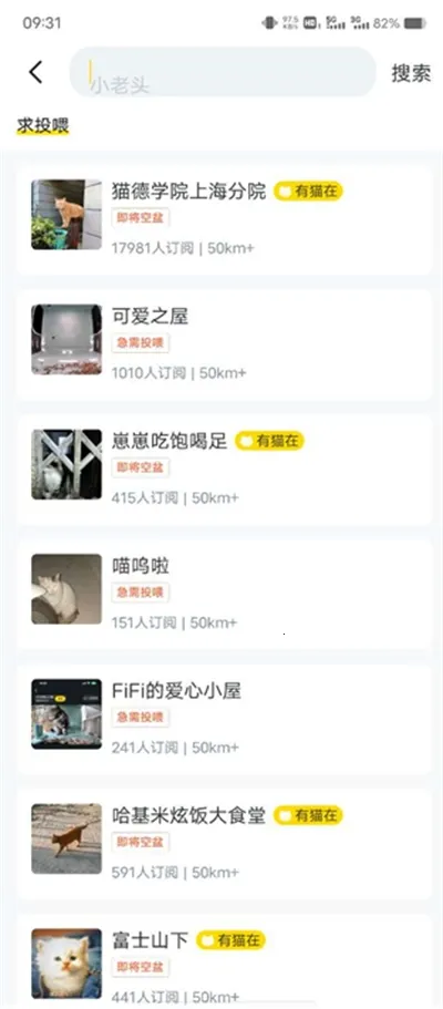 街猫最新手机版 街猫最新手机版