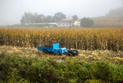 ����ũ�����������ֻ���