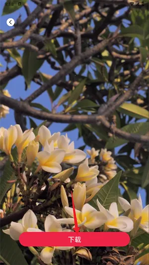 tibni�������