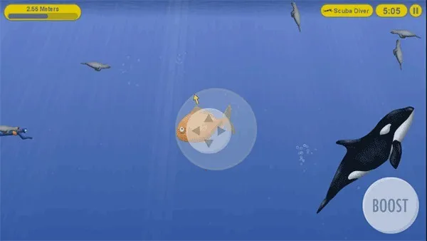 ��ζ����2����2026�ٷ�����