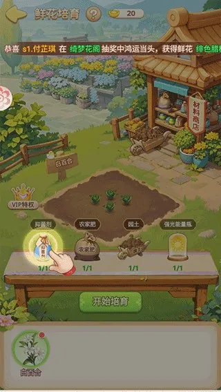 �ҵĻ�԰�����ƽ��