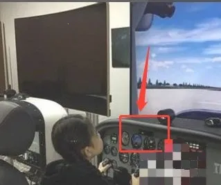 ��ʵ����ģ����pro