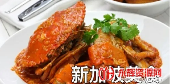 新加坡眼2026官方最新版本 新加坡眼2026官方最新版本