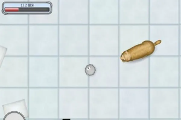 ��ζ����2��׿���ֻ���