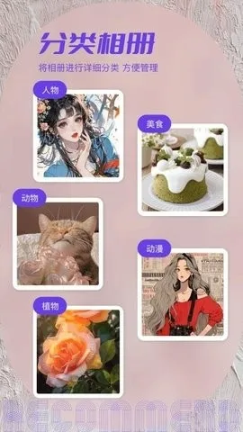 ˽���ಾ2026�ٷ�����v1.2 ��׿���ͼ