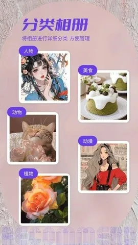 ˽���ಾ2026�ٷ�����