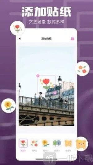 1DM(�����������)