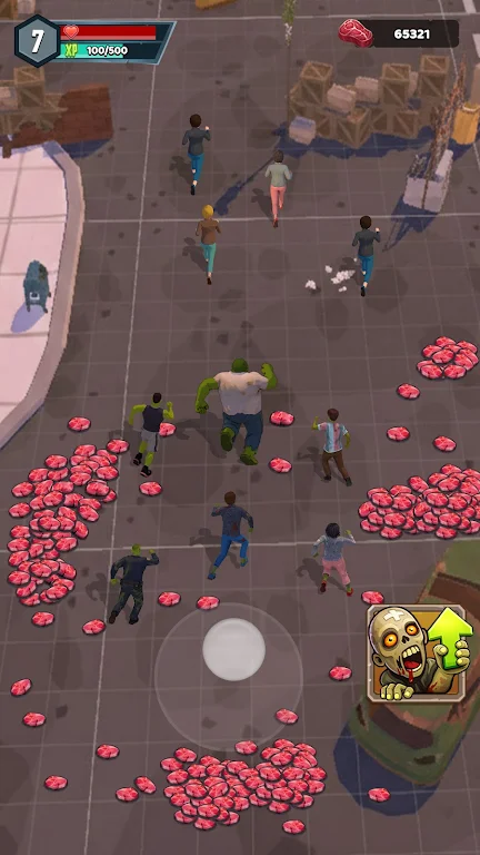 ɥʬ����2026�ٷ����°汾v0.0.3 �ٷ������ͼ