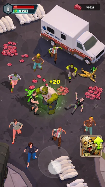 ɥʬ����2026�ٷ����°汾v0.0.3 �ٷ������ͼ