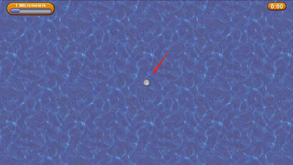 ��ζ���������