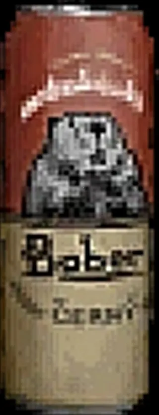 Ѱ��α����������