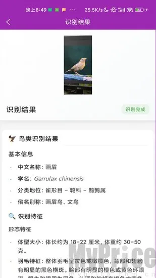 ʶ��׿���ֻ���