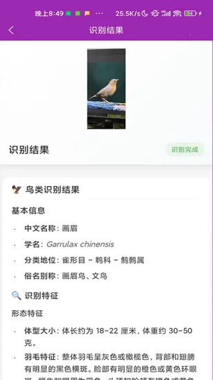 ʶ��׿���ֻ���v1.1.0 ��׿���ͼ