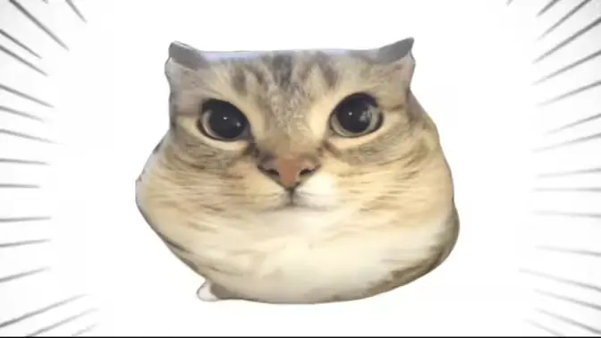 �ͰͲ�һ(δ�ἰ���幦���޷�����)v1.0 �ֻ����ͼ