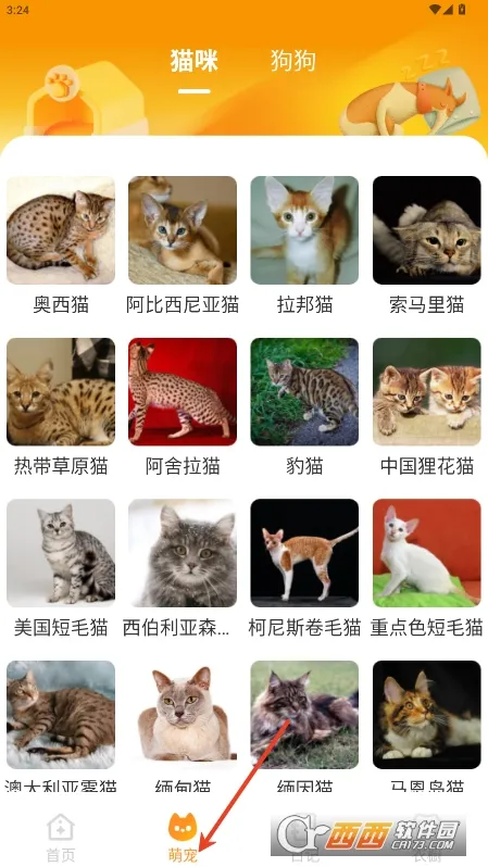 Ԫ����ֽ�ƽ��v2.0.5 �ٷ������ͼ