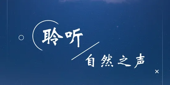 ˯�߰�����(���߰���������)