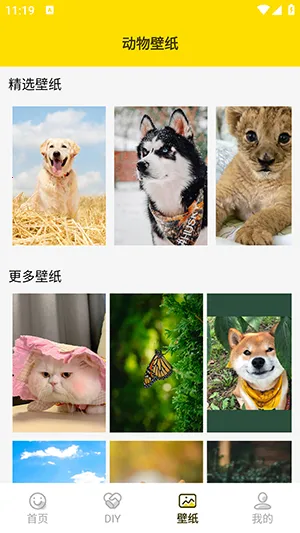 兔子表情包(表情包制作软件) 兔子表情包(表情包制作软件)