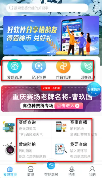 ������(�������ƽ̨)