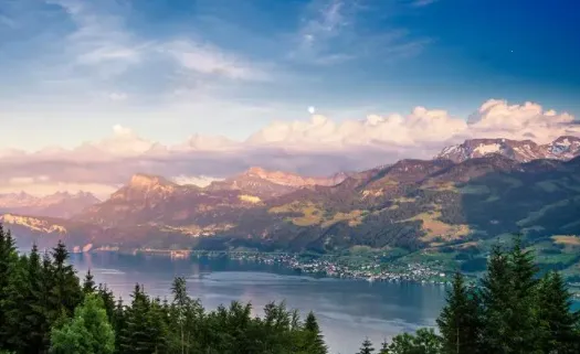 ׷��è�����ֻ���