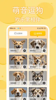 è�������﷭����(���﹵ͨӦ��)v1.0.2 �ٷ������ͼ