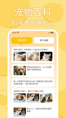 è�������﷭����(���﹵ͨӦ��)v1.0.2 �ٷ������ͼ