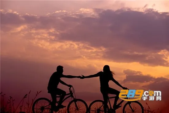 ��������2026�ٷ�����