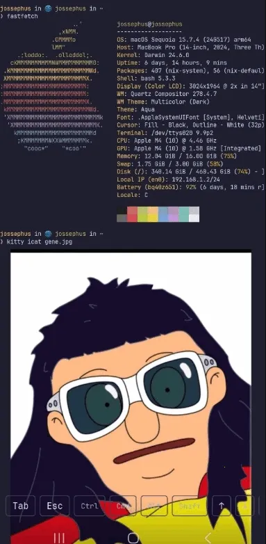 chuchu�����ֻ���