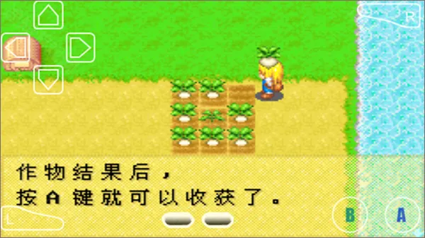 ��������Ů��(������Ӫ��Ϸ)