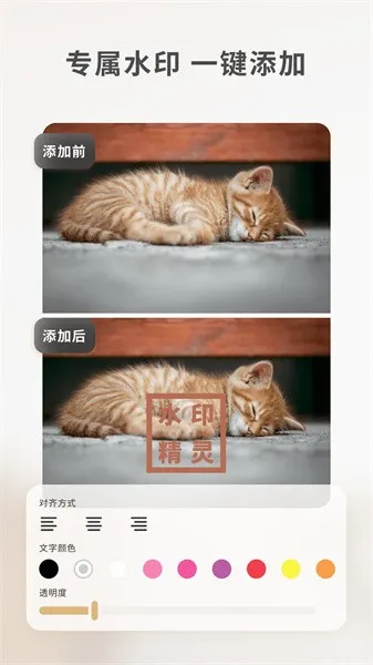 ���䰮ˮӡ����2026�ٷ����°汾v1.1.5 �ٷ������ͼ