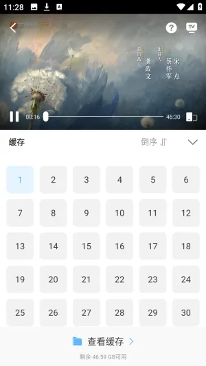 芦苇视频