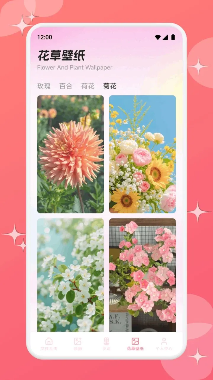 ��֧��ѡ(������������)v1.1 �ٷ������ͼ