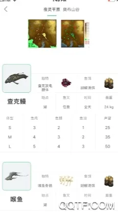 WF虚空境(Warframe游戏助手) WF虚空境(Warframe游戏助手)
