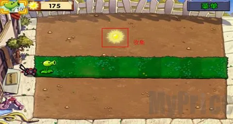 PvZ(ֲ�ｩʬ������Ϸ)