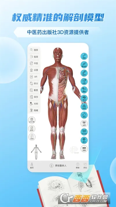 ά����3D����2026���°汾