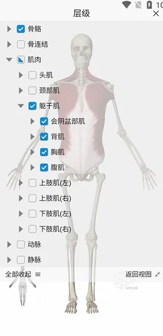ά����3D����2026���°汾