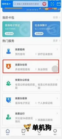 �ӱ����������2026���°汾
