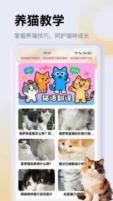 ����è��app�����ֻ���v1.4 �ֻ����ͼ