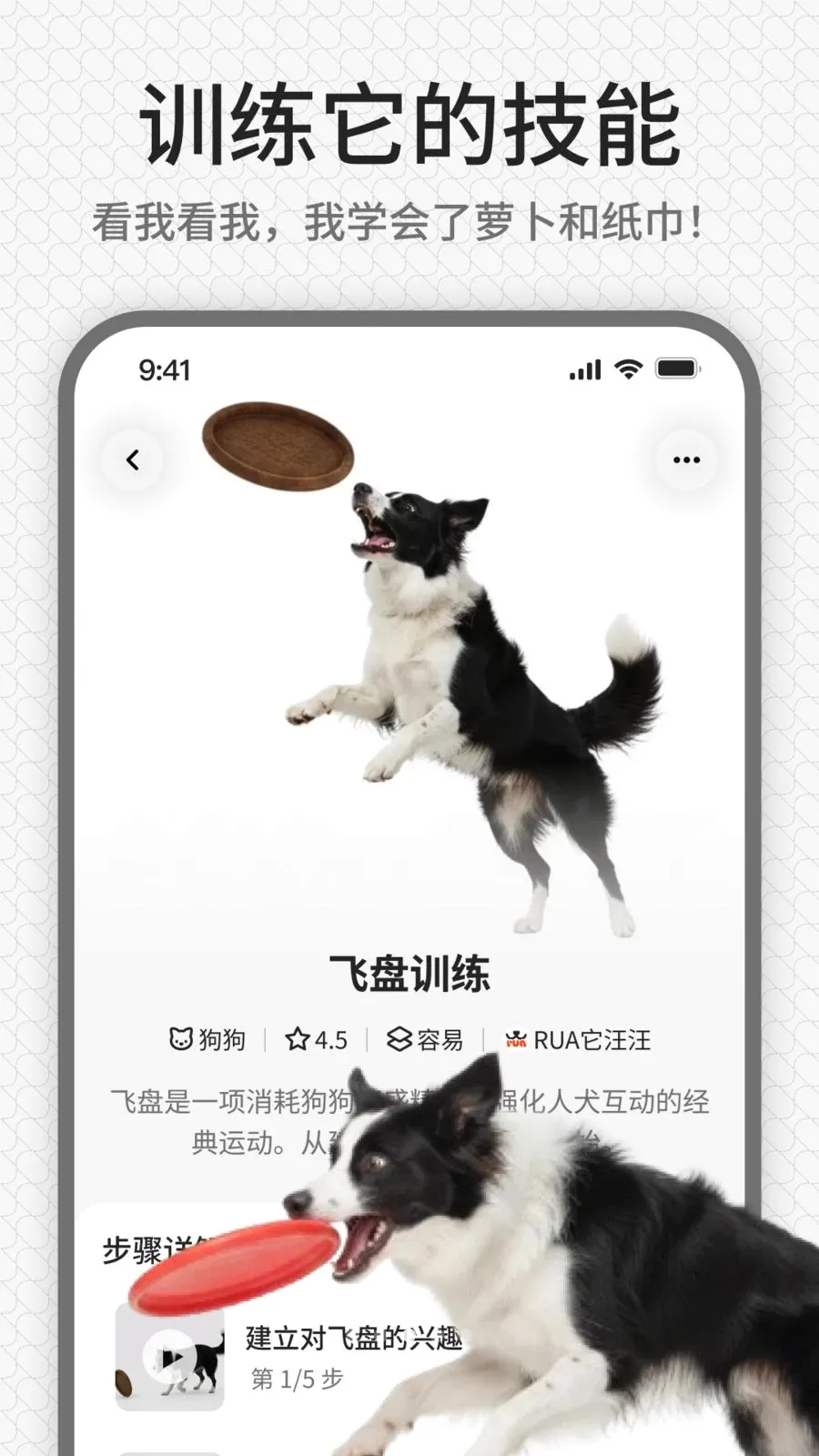 rua��(����ѵ��ƽ̨)v1.0.1 �ֻ����ͼ