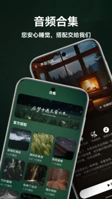 ����˯��(����ѧϰAPP)v1.5.0 �ֻ����ͼ