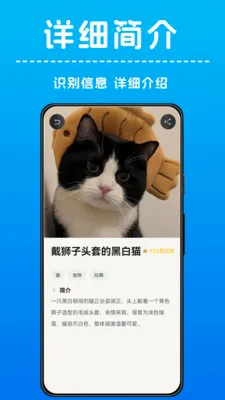 AI����ʶ��2026���°汾v1.0.4 �ٷ������ͼ