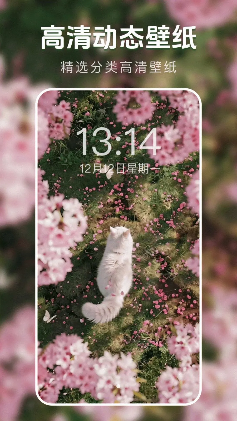 ��̬�����ֽ��2026�ٷ����°汾v1.0.0 ��׿���ͼ