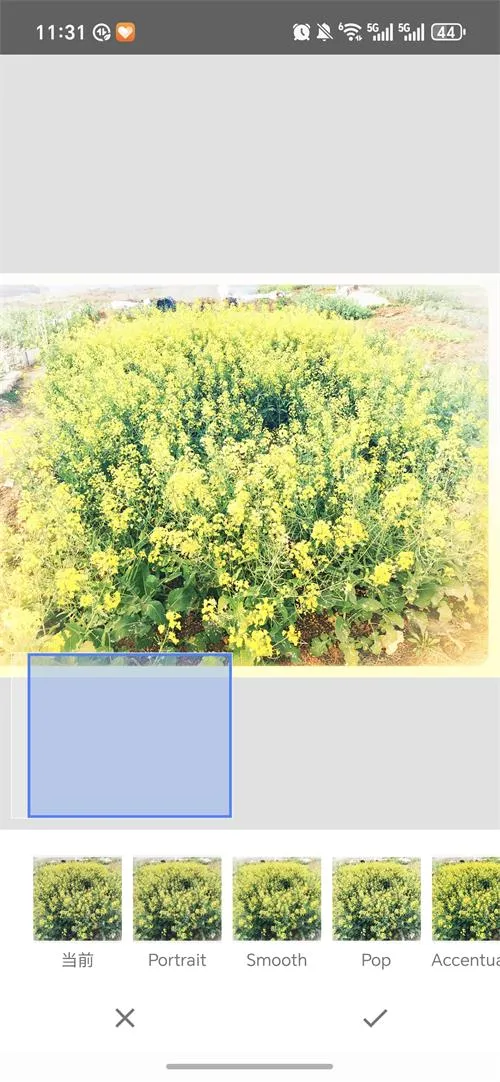 BetterSeed(ͼƬ��ͼ����)v2.22.0.633363672 �ٷ������ͼ