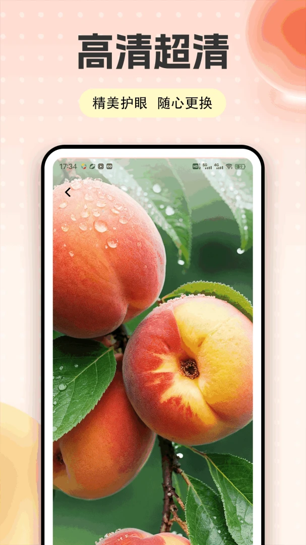 �Ҷ��app2026���°汾v1.0.5 ��Ѱ��ͼ