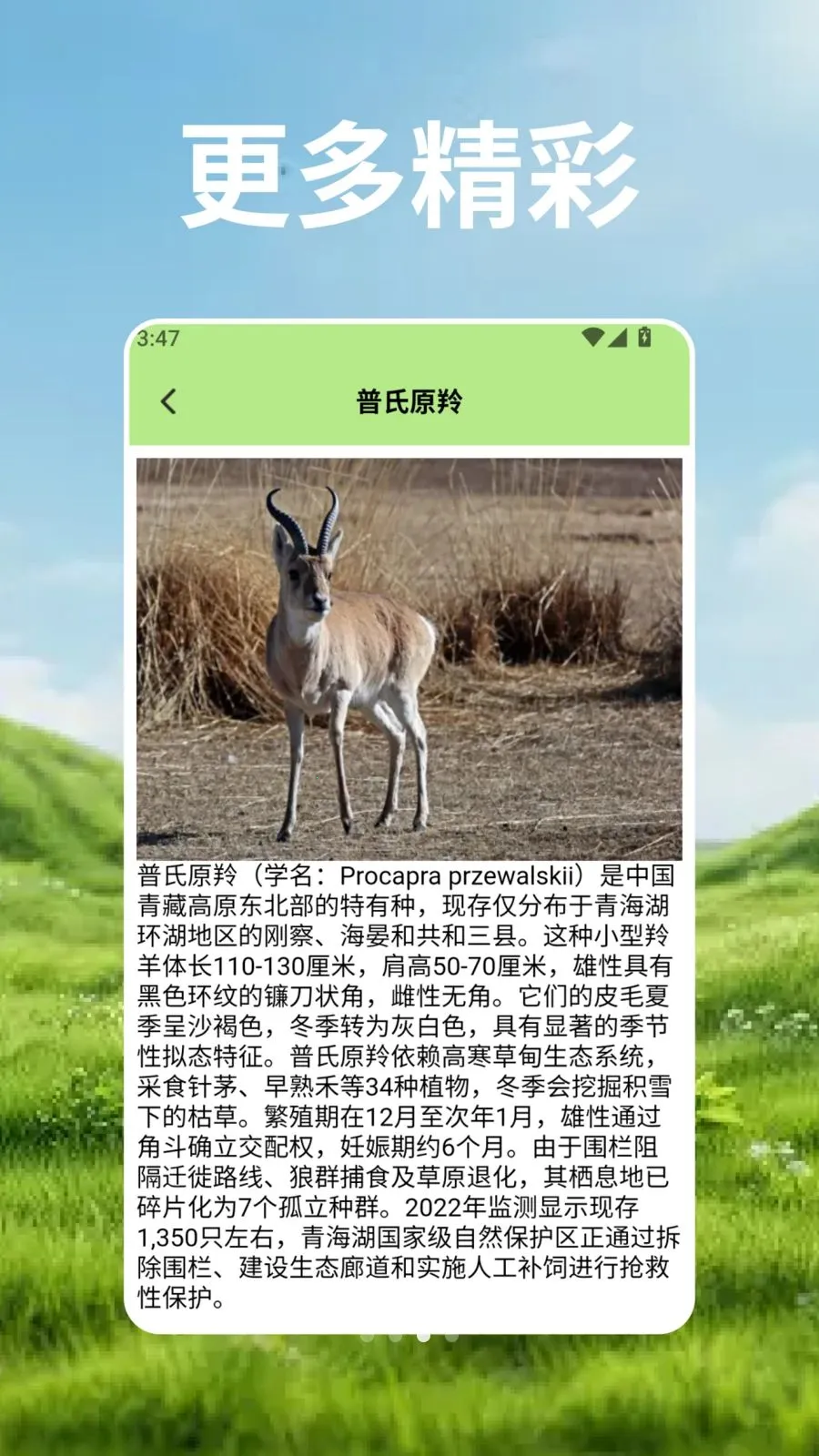 ��Ⱥ�Ŀ�ѧ��2026���°汾v2.3 ��Ѱ��ͼ