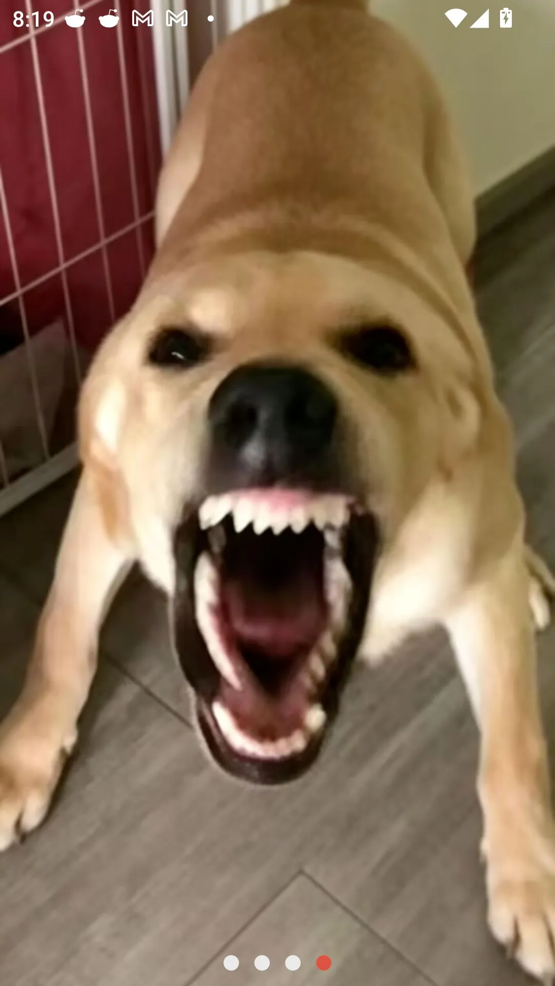 �󹷽���Ϸ������ư氲׿���ֻ���v1.1 ��Ѱ��ͼ