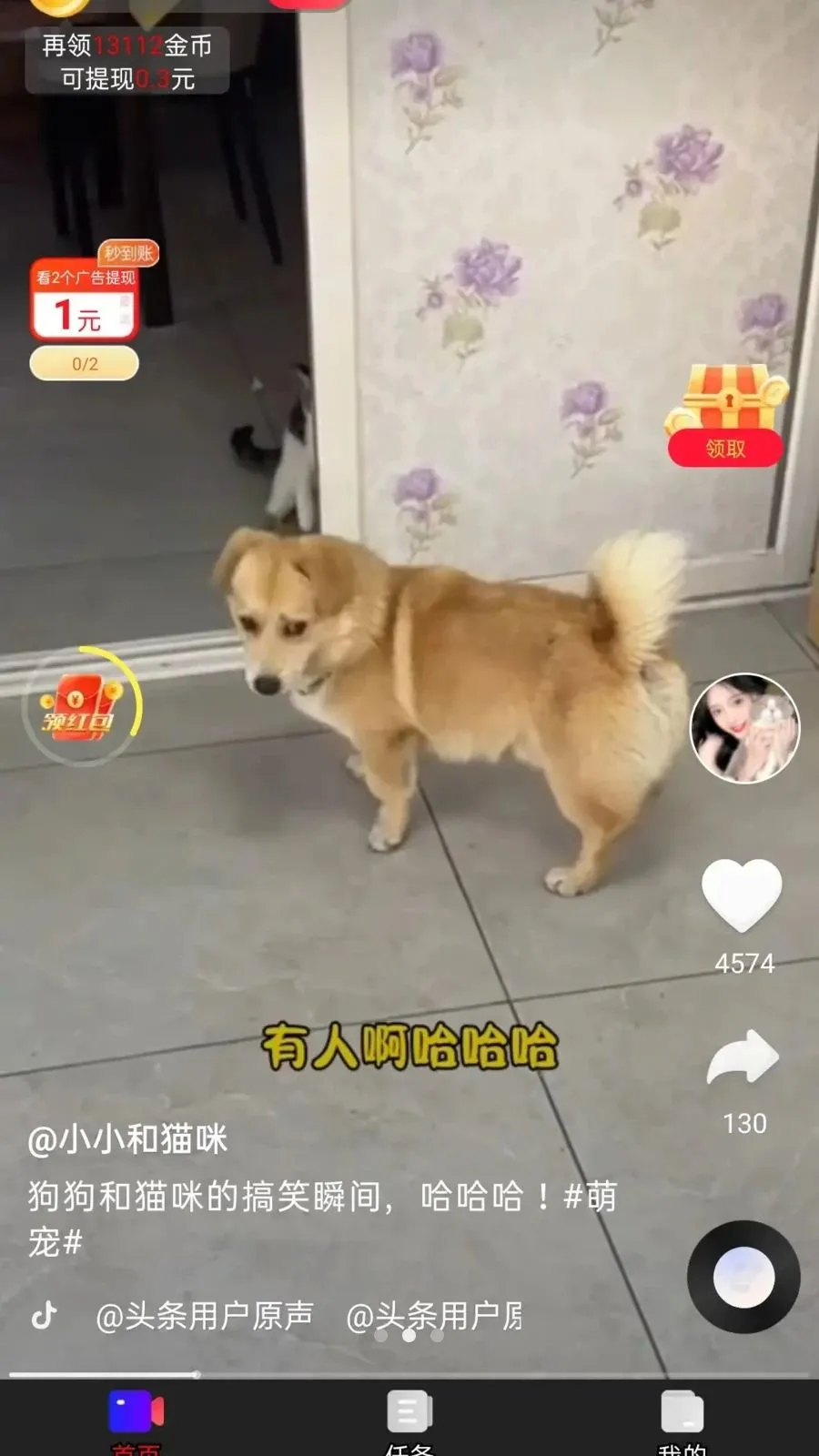 ��ӯ����2026���°汾v1.0.1 ��Ѱ��ͼ